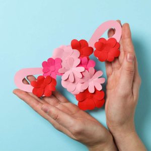 הסוף לשחלות פוליציסטיות תמונה להמחשה